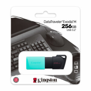 KINGSTON MEMORIA EXODIA MENTA CON NEGRO 256GB USB 3.2 DTXM